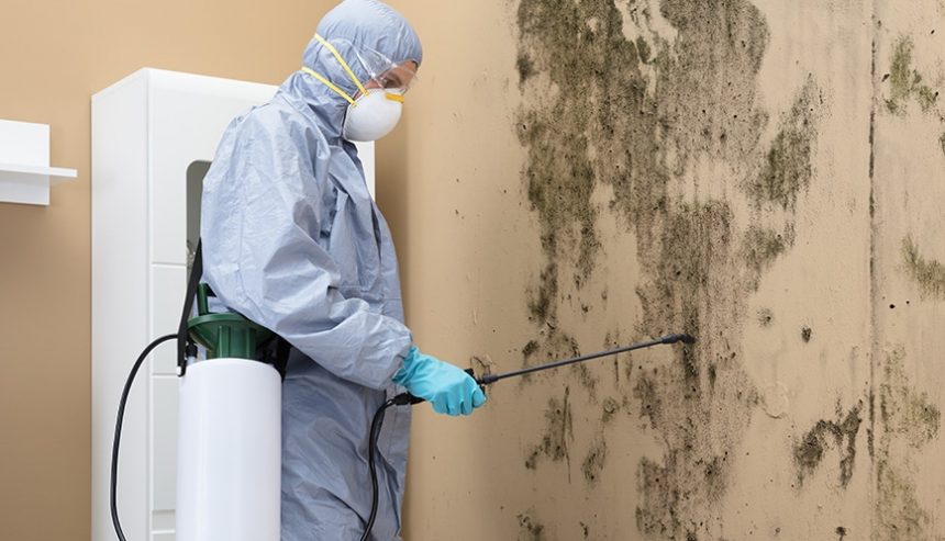 Restoring Water-Damaged Properties Through Efficient Mold Removal and Repair