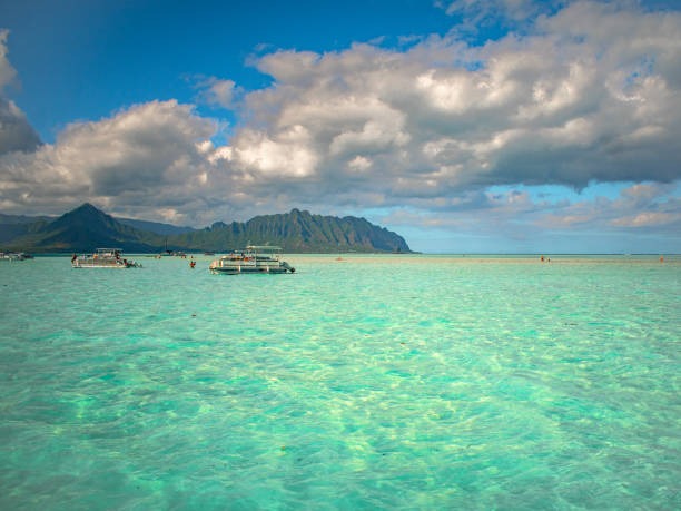 Kaneohe Bay Sandbar Top Reasons to Visit This Scenic Spot
