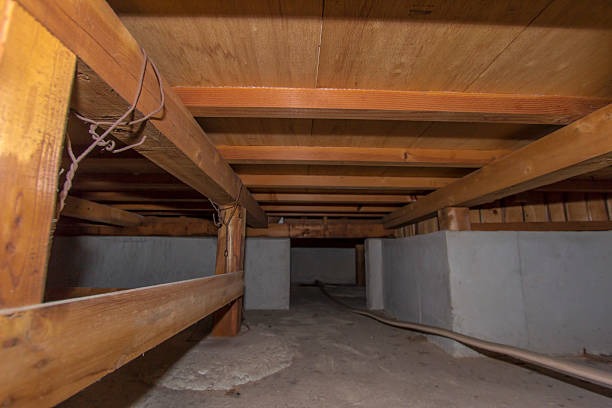 Best Crawlspace Encapsulation Woodstock Services for Homeowners