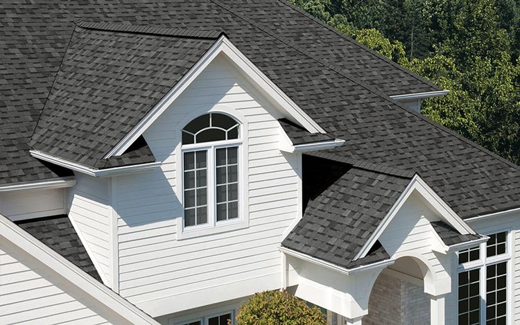 What Professional roofers Do That DIY Can’t Match