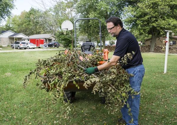 Tree Removal Rockford Fast and Affordable Local Tree Services