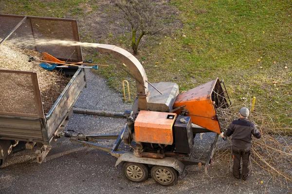 Quality Tree Service South Lake Tahoe Backed by Skilled Arborists