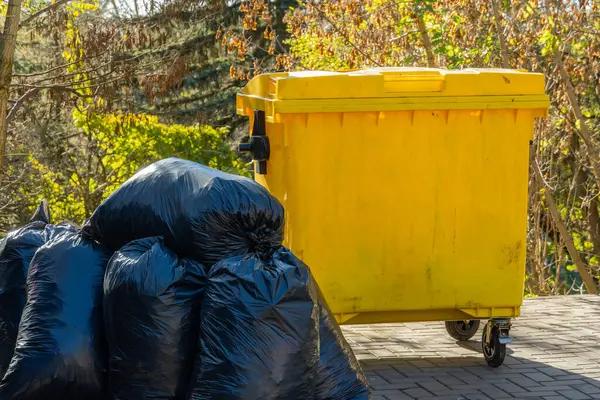 Top-Rated Junk Disposal Services in Boston at Competitive Prices