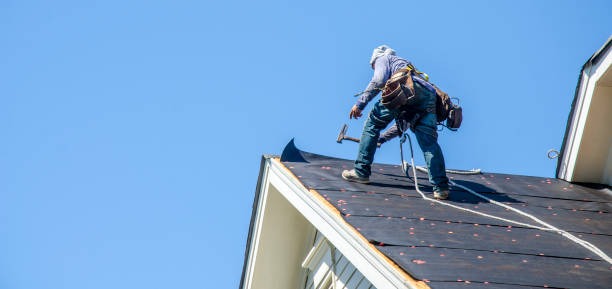 Reliable Roofing Contractor Services for Roof Restoration and Structural Protection